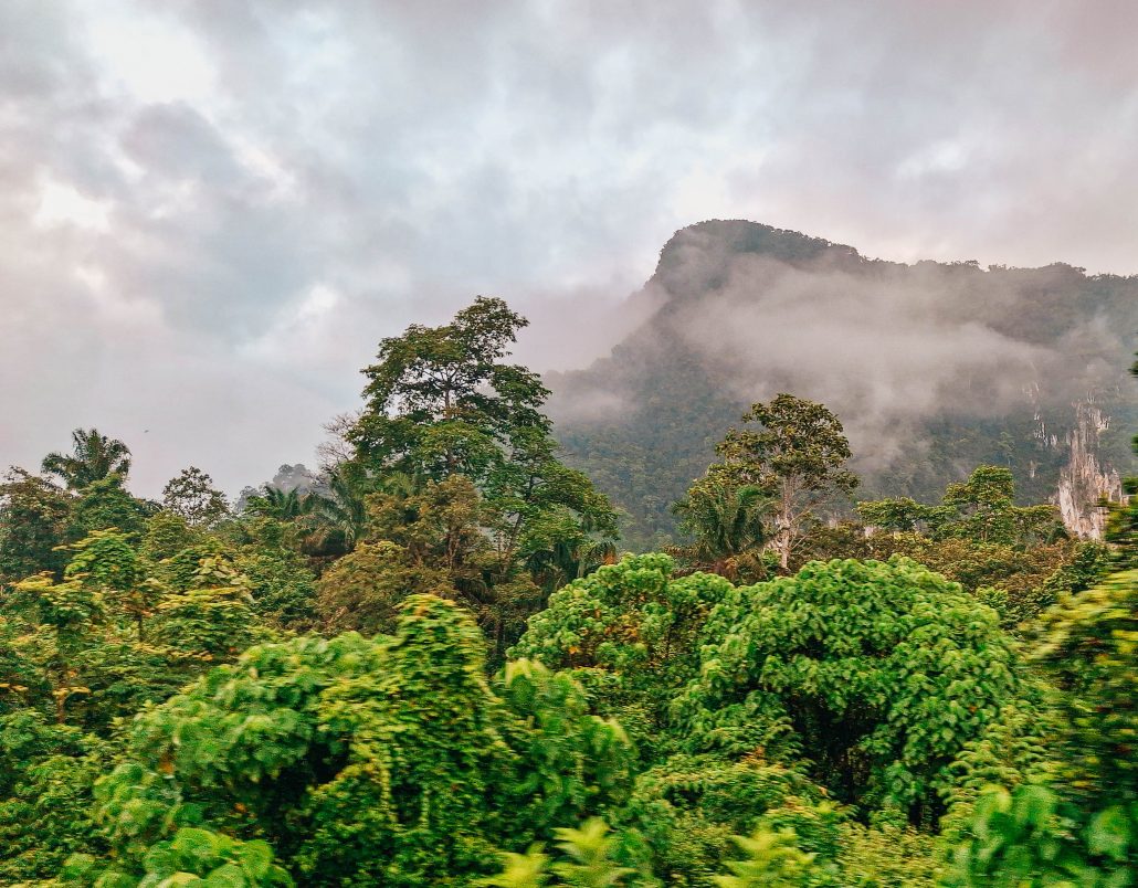 Jungle Train, il treno della giungla in Malesia