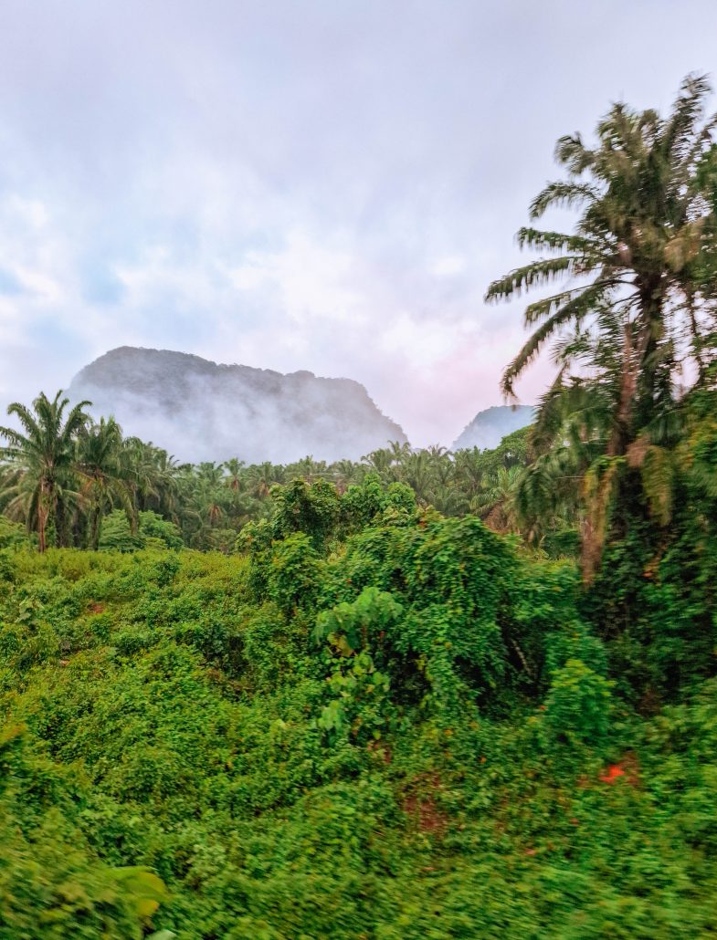 Vista panoramica dal Jungle Train