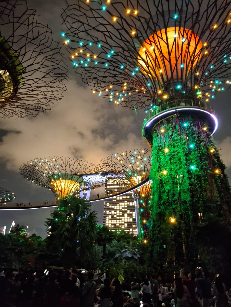 Cosa vedere a Singapore in 3 giorni: i Super Tree ai Gardens by the Bay